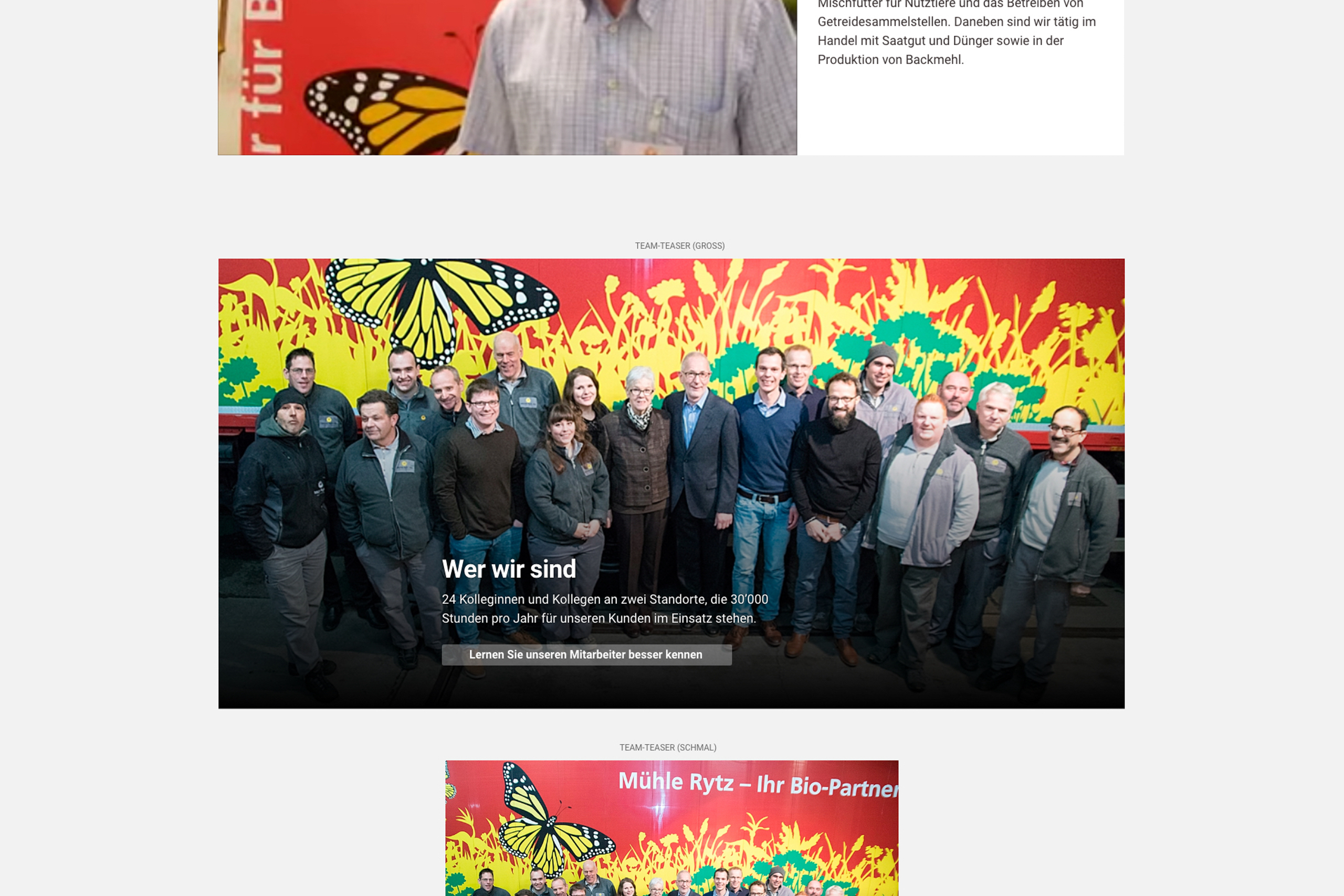 A design mockup of various WordPress content elements (blocks)