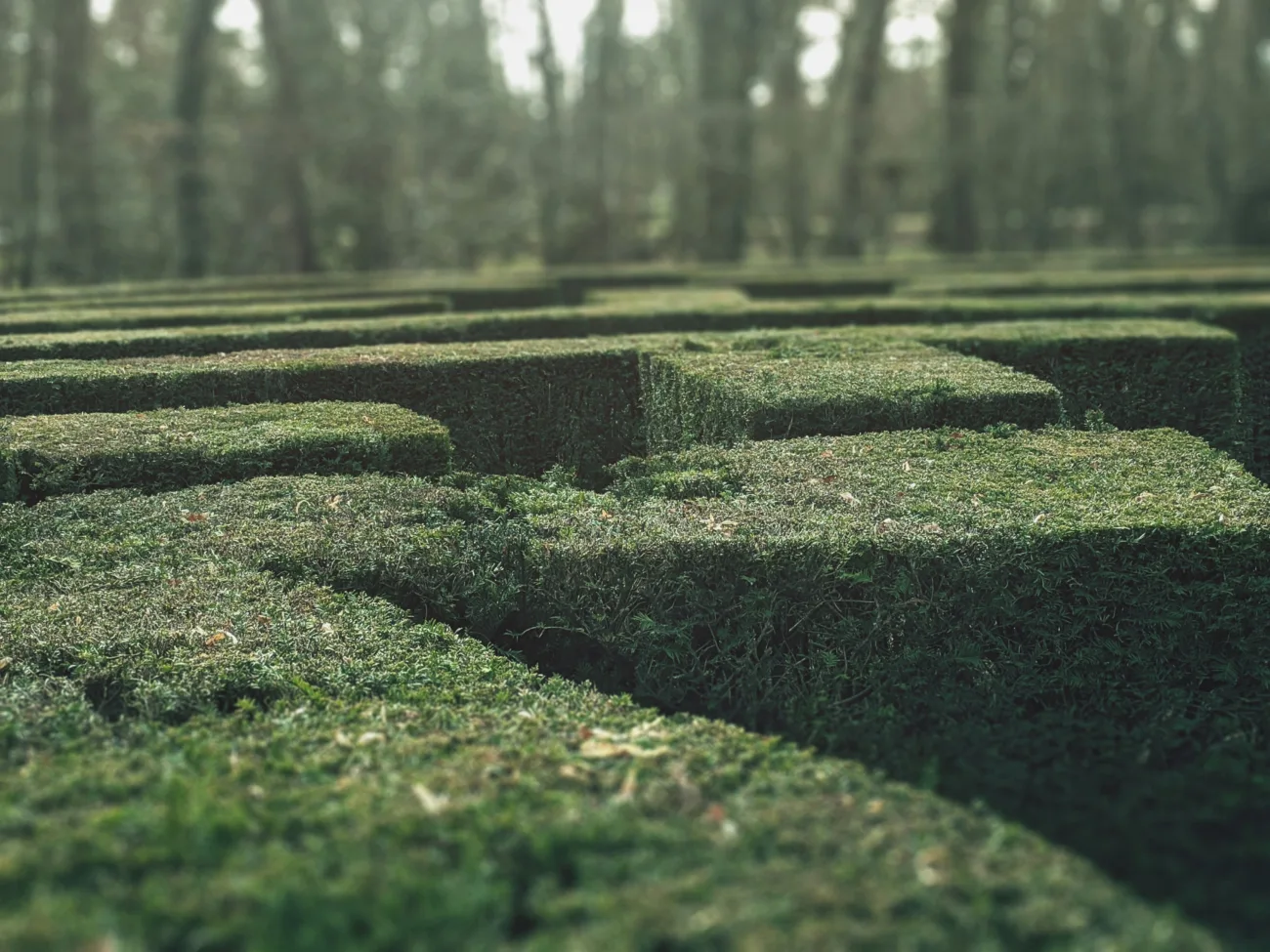 Themenbild Labyrinth